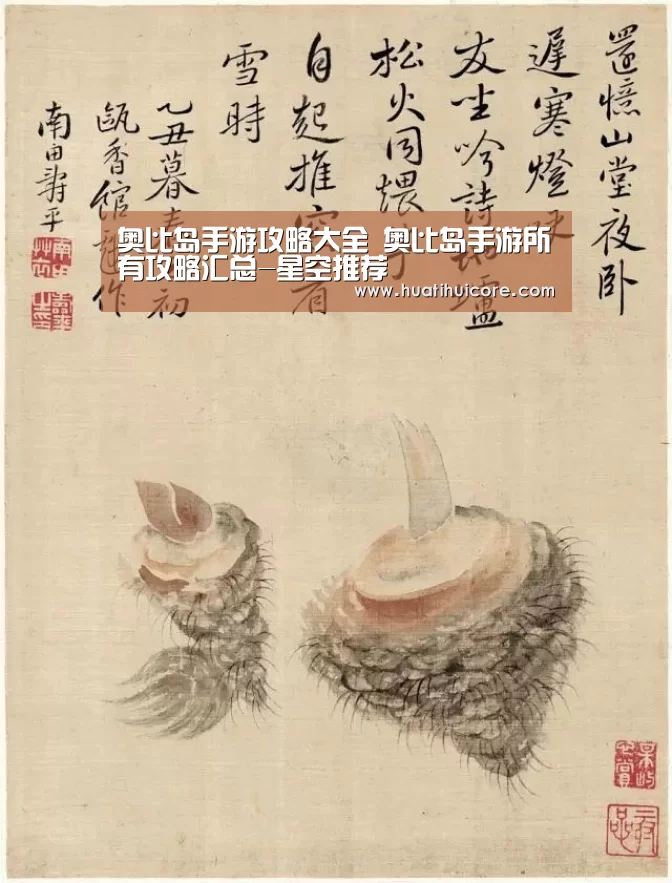 星空入口